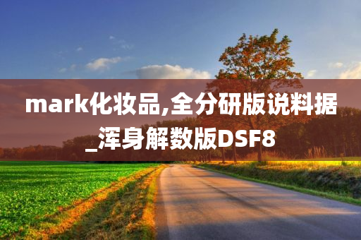 mark化妆品,全分研版说料据_浑身解数版DSF8