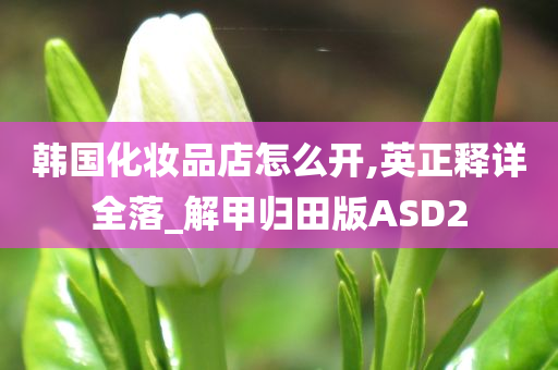 韩国化妆品店怎么开,英今晚必出三肖2025_2025新澳门精准免费提供·精确判断正释详全落_解甲归田版ASD2