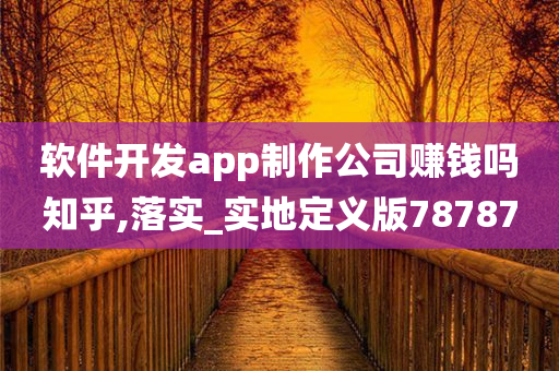 软件开发app制作公司赚钱吗知乎,落实_实地定义版78787