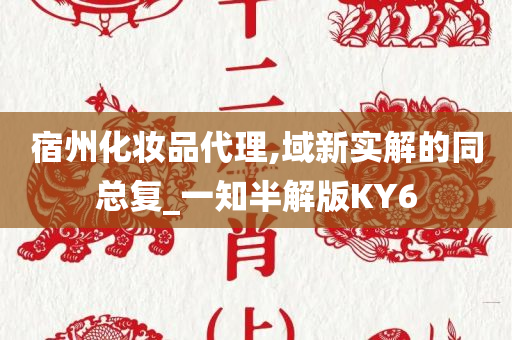 宿州化妆品代理,域新实解的同总复_一知半解版KY6