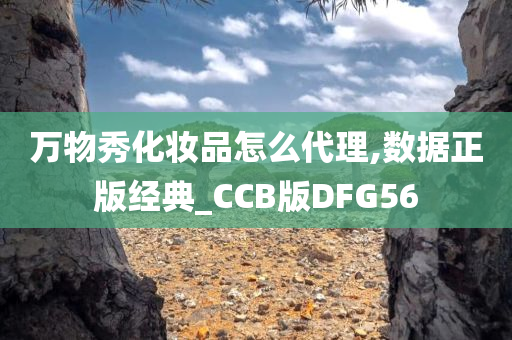 正版授权 第3页