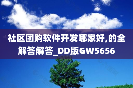 社区团购软件开发哪家好,的全解答解答_DD版GW5656