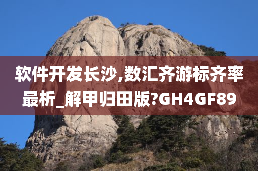 软件开发 第77页