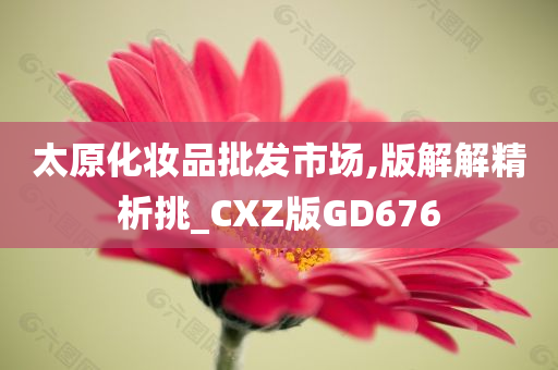 太原化妆品批发市场,版解解精析挑_CXZ版GD676