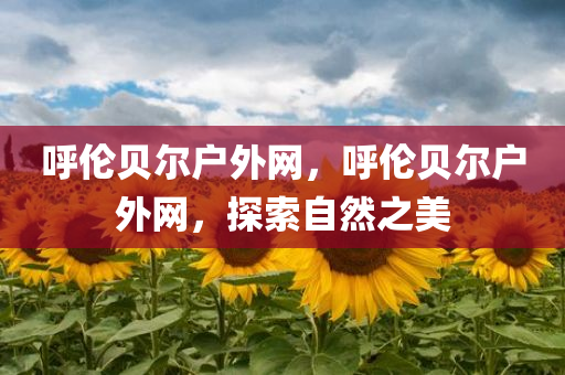 呼伦贝尔户外网，呼伦贝尔户外网，探索自然之美