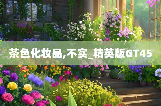 茶色化妆品,不实_精英版GT45