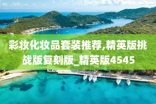 彩妆化妆品套装推荐,精英版挑战版复刻版_精英版4545