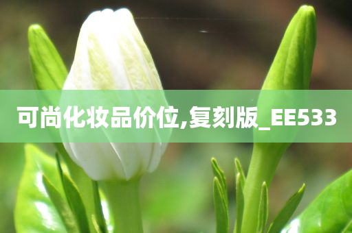 可尚化妆品价位,复刻版_EE533