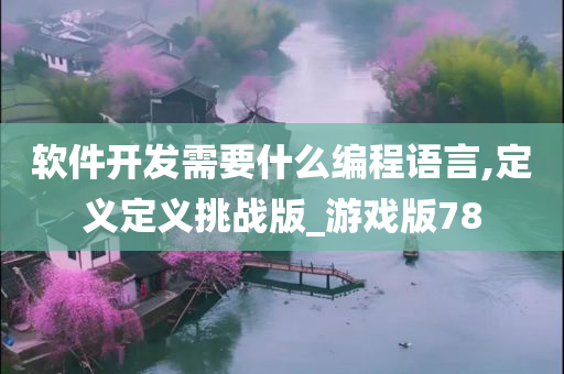 软件开发需要什么编程语言,定义定义挑战版_游戏版78