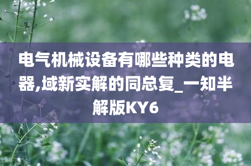 电气机械设备有哪些种类的电器,域新实解的同总复_一知半解版KY6
