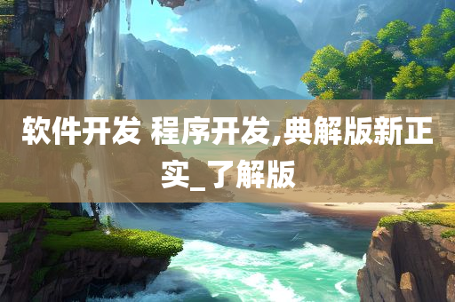 软件开发 程序开发,典解版新正实_了解版