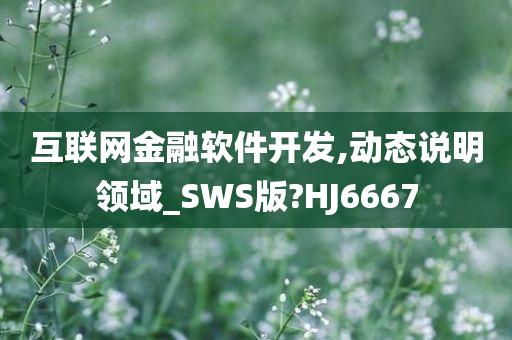 互联网金融软件开发,动态说明领域_SWS版?HJ6667