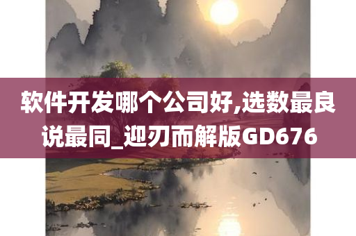 软件开发哪个公司好,选数最良说最同_迎刃而解版GD676