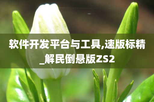 软件开发平台与工具,速版标精_解民倒悬版ZS2