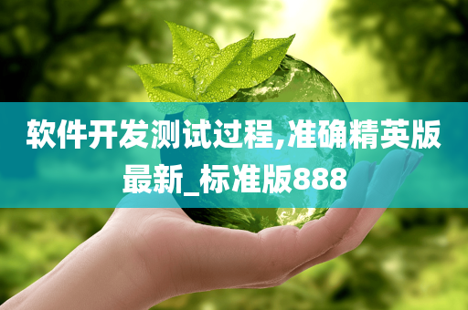软件开发测试过程,准确精英版最新_标准版888