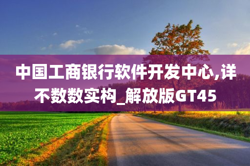 中国工商银行软件开发中心,详不数数实构_解放版GT45