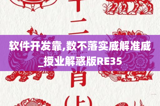 软件开发靠,数不落实威解准威_授业解惑版RE35