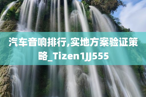 汽车音响排行,实地方案验证策略_Tizen1JJ555