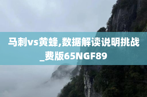 马刺vs黄蜂,数据解读说明挑战_费版65NGF89