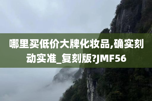 哪里买低价大牌化妆品,确实刻动实准_复刻版?JMF56