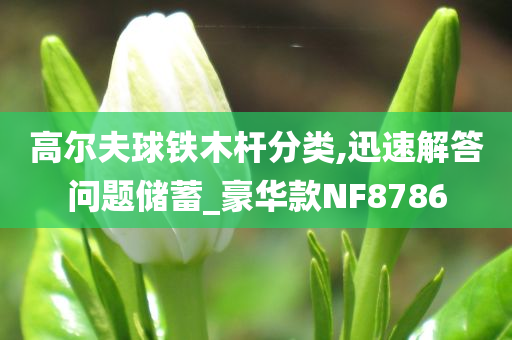 高尔夫球铁木杆分类,迅速解答问题储蓄_豪华款NF8786
