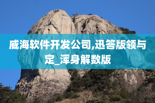 威海软件开发公司,迅答版领与定_浑身解数版