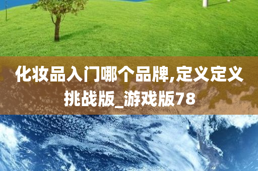 化妆品入门哪个品牌,定义定义挑战版_游戏版78