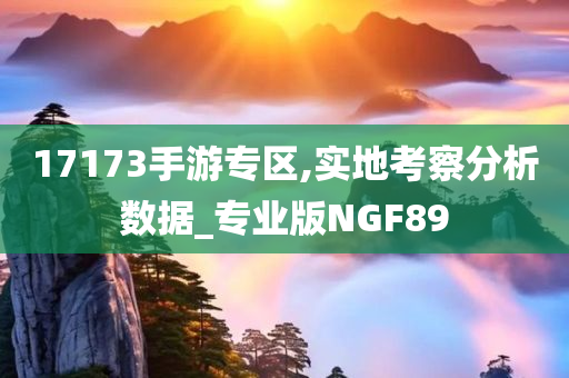 17173手游专区,实地考察分析数据_专业版NGF89