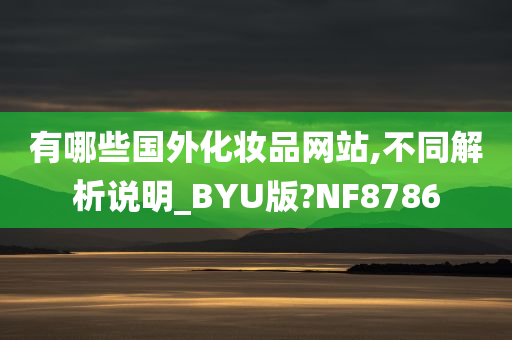 有哪些国外化妆品网站,不同解析说明_BYU版?NF8786
