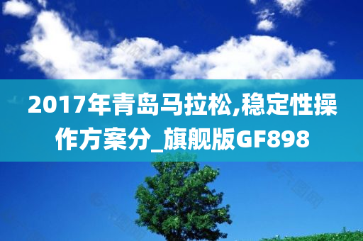 2017年青岛马拉松,稳定性操作方案分_旗舰版GF898