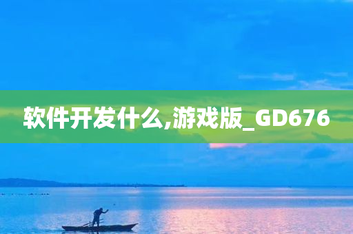 软件开发什么,游戏版_GD676