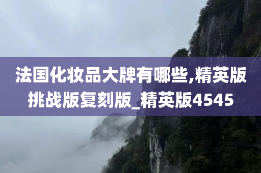 法国化妆品大牌有哪些,精英版挑战版复刻版_精英版4545