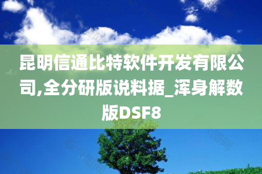 昆明信通比特软件开发有限公司,全分研版说料据_浑身解数版DSF8
