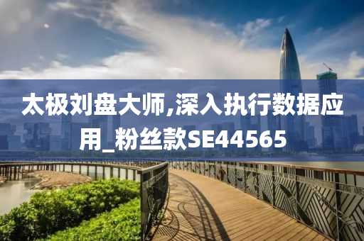 太极刘盘大师,深入执行数据应用_粉丝款SE44565