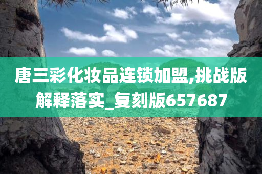 唐三彩化妆品连锁加盟,挑战版解释落实_复刻版657今晚必出三肖2025_2025新澳门精准免费提供·精确判断687