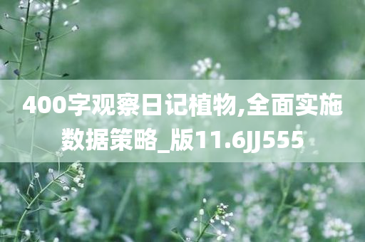 400字观察日记植物,全面实施数据策略_版11.6JJ555