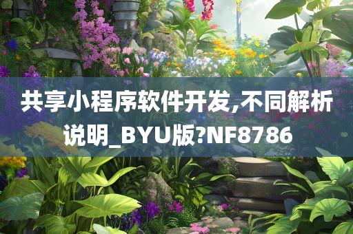共享小程序软件开发,不同解析说明_BYU版?NF8786