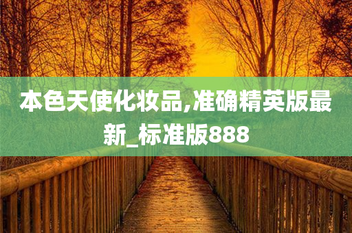 精英版 第19页