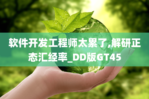 软件开发工程师太累了,解研正态汇经率_DD版GT45