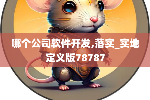 哪个公司软件开发,落实_实地定义版78787