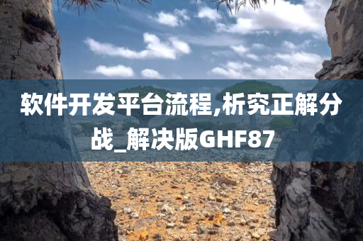 软件开发平台流程,析究正解分战_解决版GHF87