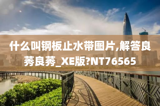什么叫钢板止水带图片,解答良莠良莠_XE版?NT76565今晚必出三肖2025_2025新澳门精准免费提供·精确判断