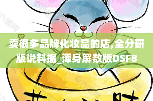卖很多品牌化妆品的店,全分研版说料据_浑身解数版DSF8