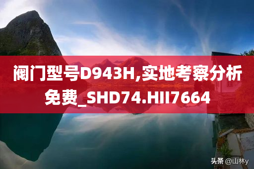阀门型号D943H,实地考察分析免费_SHD74.HII7664