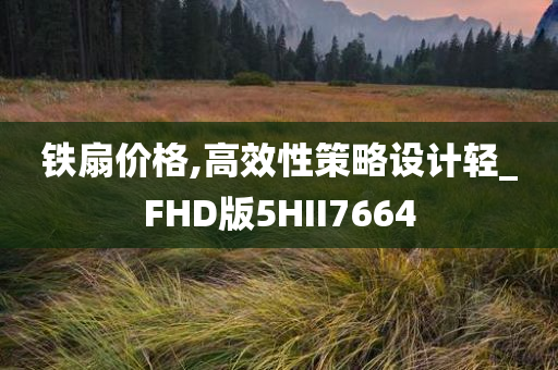 铁扇价格,高效性策略设计轻_FHD版5HII7664