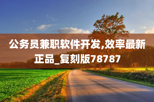 公务员兼职软件开发,效率最新正品_复刻版78787