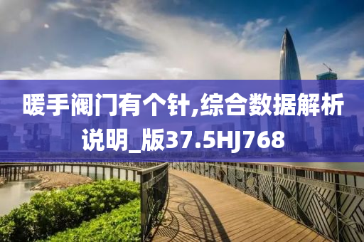 暖手阀门有个针,综合数据解析说明_版37.5HJ768
