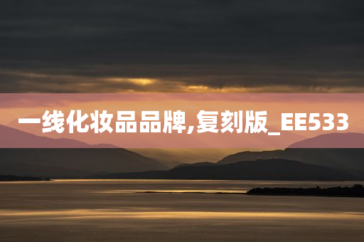 一线化妆品品牌,复刻版_EE533