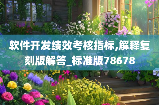 软件开发绩效考核指标,解释复刻版解答_标准版78678