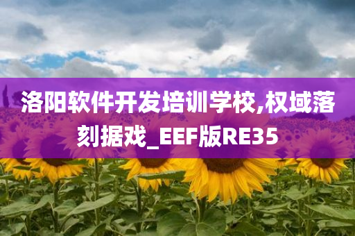 洛阳软件开发培训学校,权域落刻据戏_EEF版RE35